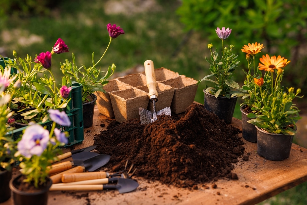 Gardening tools, potting soil, peat pots, and colorful flowers on a wooden table